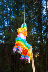 Pinata