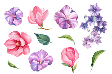 set of elements of summer flowers, celebration, bells, magnolia, watercolor drawing