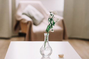 White chrysanthemum in vase on table. Floral wallpaper. Holiday, wedding, birthday concept. Copy space, flat lay, top view. Minimal style. Post card.