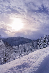 Fototapeta na wymiar Snowfall and sunshine in mountain winter forest