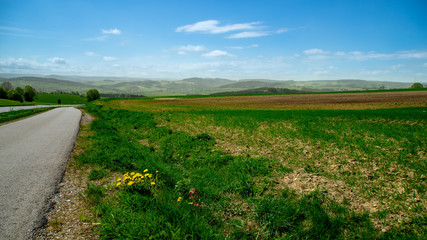 Fototapeta na wymiar Blütenstaubnebel im Erzgebirge