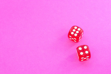 Gambling dices on a pink background.