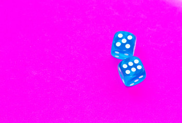 Gambling dices on a pink background.