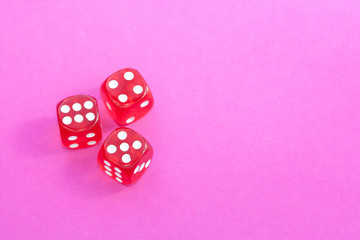 Gambling dices on a pink background.