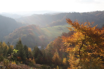 Wanderung durch den Herbstwald zur Burg Montclair