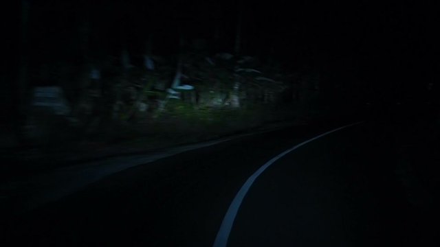 Night drive through the forest on winding road by the way to Ijen Volcano Crater, Java, Indonesia