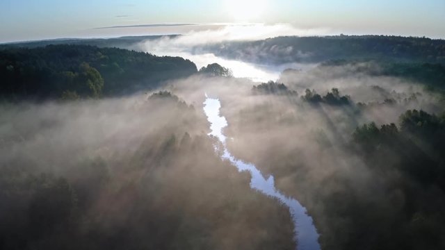 Mist over the river with sunrays, aerial view
