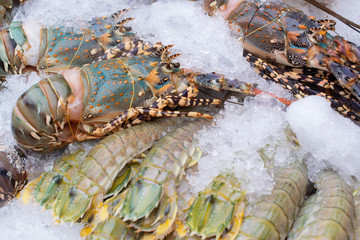 Fresh lobster seafood on crushed ice, close-up