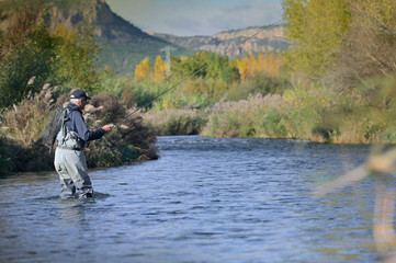 fly fisherman in autumn and fast river