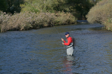 fly fisherman in autumn and fast river