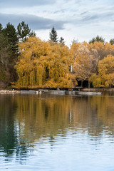 Fototapeta na wymiar lake of Puigcerda, town in Girona, Catalonia, in the midst of gardens rich in willows, conifers and other essences