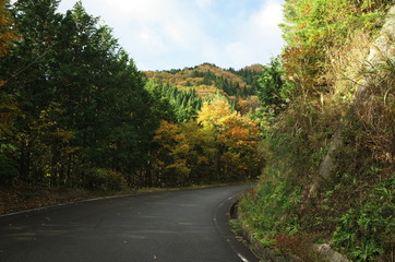 Fototapeta na wymiar 日本の秋の美しい紅葉