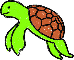  sea turtle crayon doodle hand drawn illustration kid's drawing marine animals
