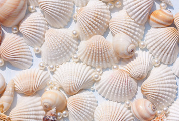 Seashells and pearls on light blue background.