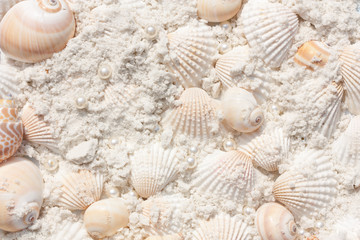 seashells and pearls on sand