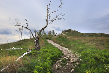 Tourists go on a footpath uphill