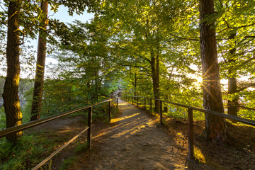 Spaziergang im Morgenlicht