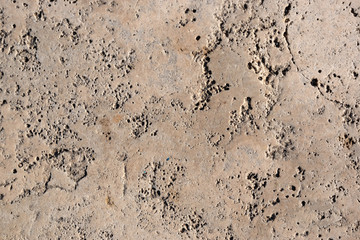 Texture of natural stone travertine