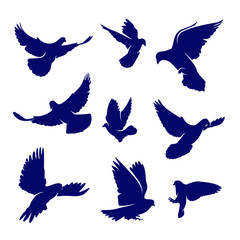 Set of Dove logo design concept vector. Bird logo template. Icon symbol. Illustration