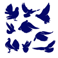 Set of Dove logo design concept vector. Bird logo template. Icon symbol. Illustration