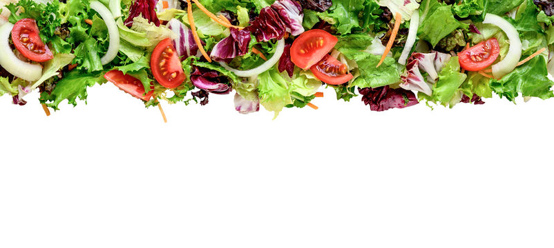 Mixed Fresh Salad Leaves Border Isolated On White