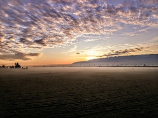 Sonnenaufgang mit Nebel und Wolkenspiel
