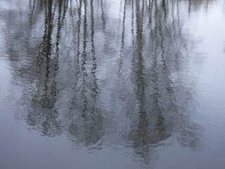 pond shore in autumn with reflection of trees in cold water