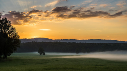 Morgennebel am Fuße des Lilienstein © Mirko MN-Photograph.