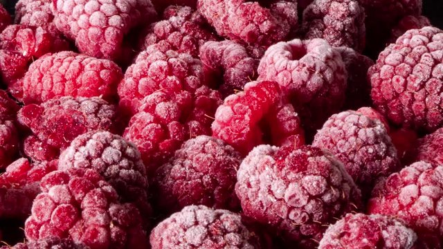 Thawing process of frozen raspberries,macro close up time lapse shot