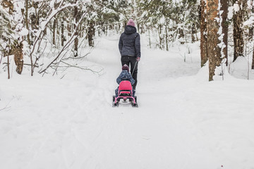 Fototapeta na wymiar A woman with a child on a snowmobile walk in a winter snowy forest. Lifestyle.