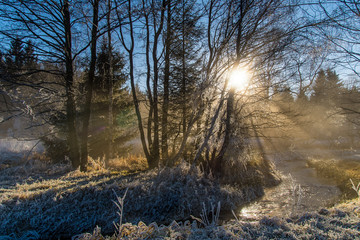 Lichtspiele im Kalten Tal