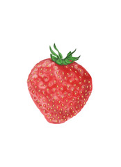 Strawberry 1