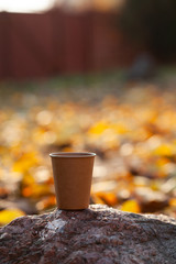 Disposable coffee glasses blurred forest park background.