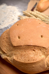 Rustic bread and wheat spikes on a grey background