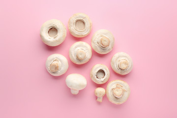 Fresh mushrooms on color background