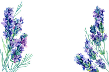 watercolor lavender flowers illustration on isolated white background, wedding greeting card or invitation 