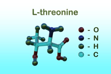 Molecular model of l-threonine, an essential amino acid in humans. It is abundant in human plasma, particularly in newborns. Medical background. Scientific background. 3d illustration