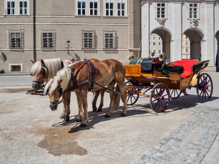 Obraz na płótnie Canvas Horses harnessed to a carriage in the Salzburg square