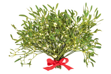 Mistletoe bunch for the festive season tied with a red bow isolated on white background....