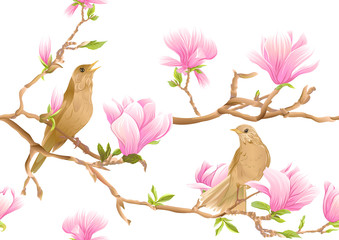 Magnolia tree branch with flowers and nightingale Seamless pattern, background. Colored vector illustration. Isolated on white background..