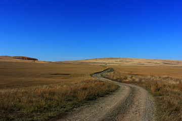 Country road in autumn field