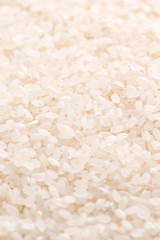 Raw white polished milled edible rice crop on white background in brown bowl, organic agriculture design concept. Staple food of Asia, close up.