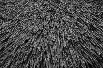 Old straw background. The texture of the old thatched roof.