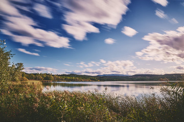 magical sunset in the swamp