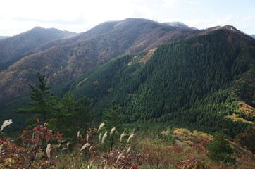 日本の美しい秋の山
