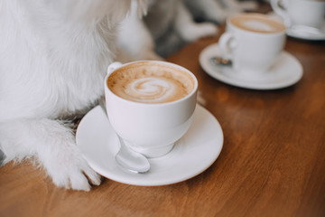  Cup of coffee is on the table between the dog's paws