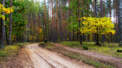 Park Krajobrazowy Puszczy Knyszyńskiej, Polska złota jesień, Supraśl ,Podlasie, Polska © podlaski49