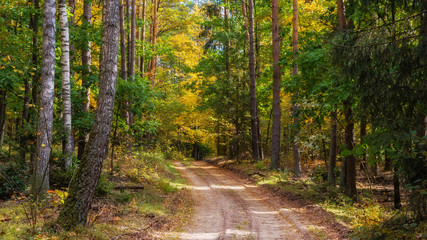 Park Krajobrazowy Puszczy Knyszyńskiej, Polska złota jesień, Supraśl ,Podlasie, Polska © podlaski49