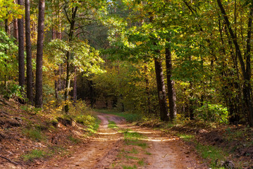 Park Krajobrazowy Puszczy Knyszyńskiej, Polska złota jesień, Supraśl ,Podlasie, Polska