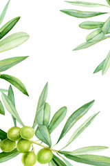 green olives on a branch, card with place for text, invitation, greeting card, watercolor illustration, hand drawing
